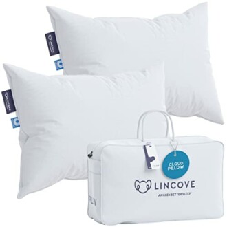 Lincove Cloud Pillow